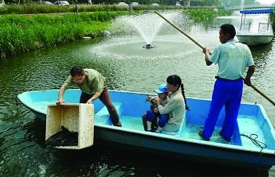 环保达人幸福河放螺蛳 目的在于净化水质