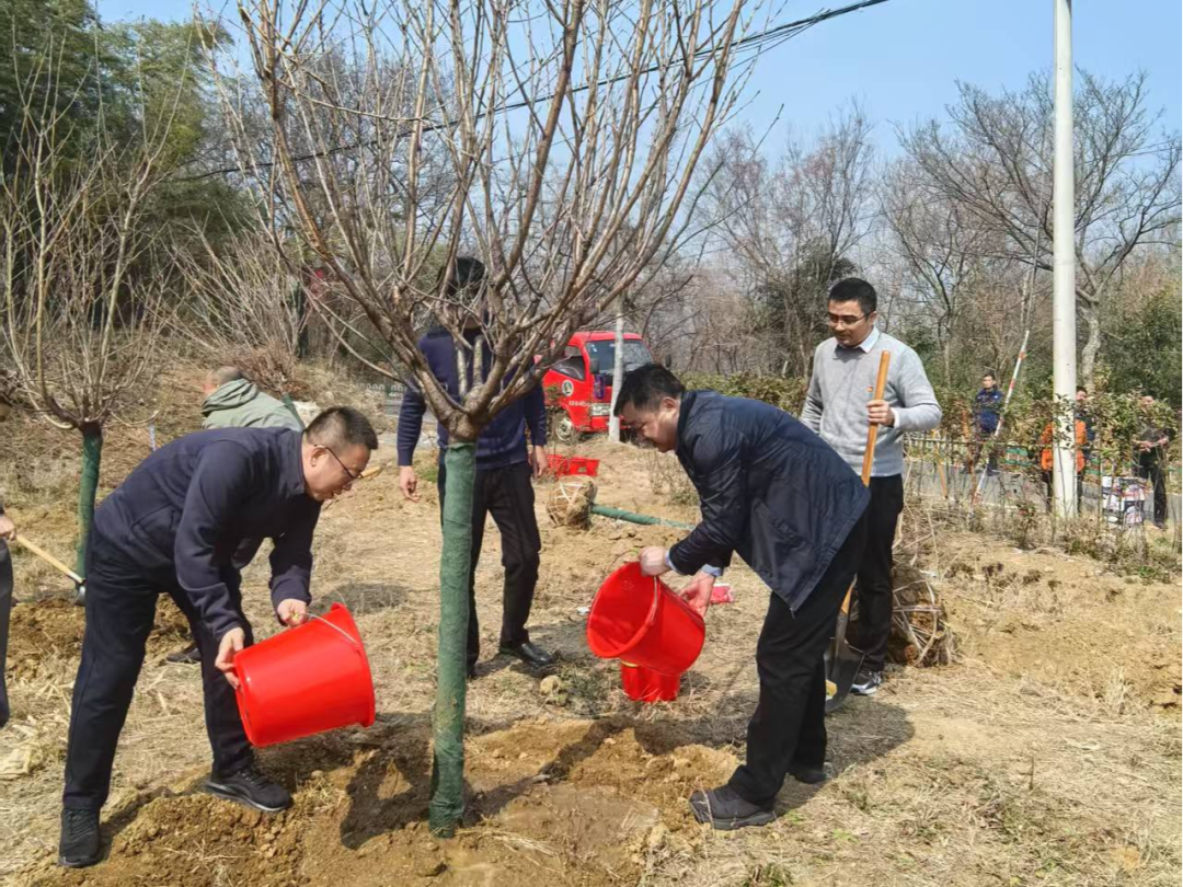 “党建红”引领方向 “生态绿”铺就未来——生态环境、自然资源和林业三方共同开展植树节暨主题党日活动