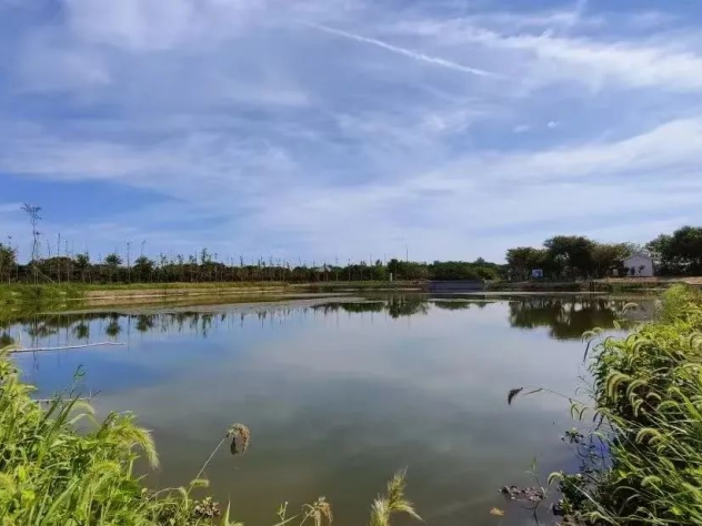 好水养好蟹，好生态才是“金饭碗”