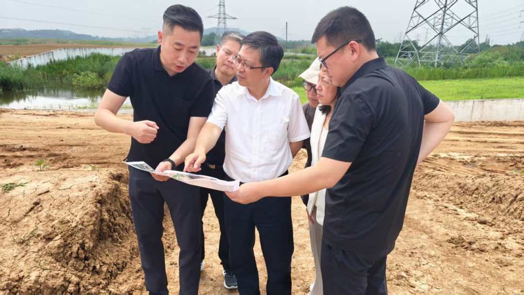 坚持标本兼治系统治理 建设绿色低碳美丽省会 省生态环境厅开展督察整改调研